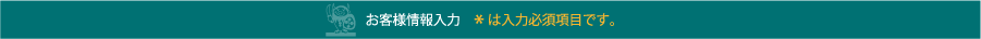 お客さま情報入力　＊は入力必須項目です。