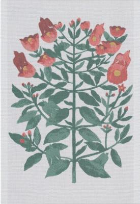 タオル　TOWEL　SKOGSFLAMMA　35×50