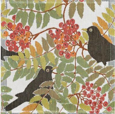 ナプキン　NAPKIN　KOLTRAST　35×35